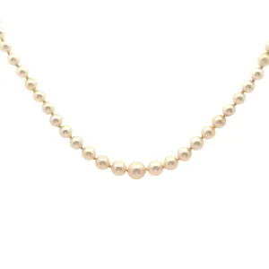 14K YELLOW GOLD 7MM /3.5MM GRADUATED 20"INCH SALT WATER PEARL STRAND 2" NECKLACE