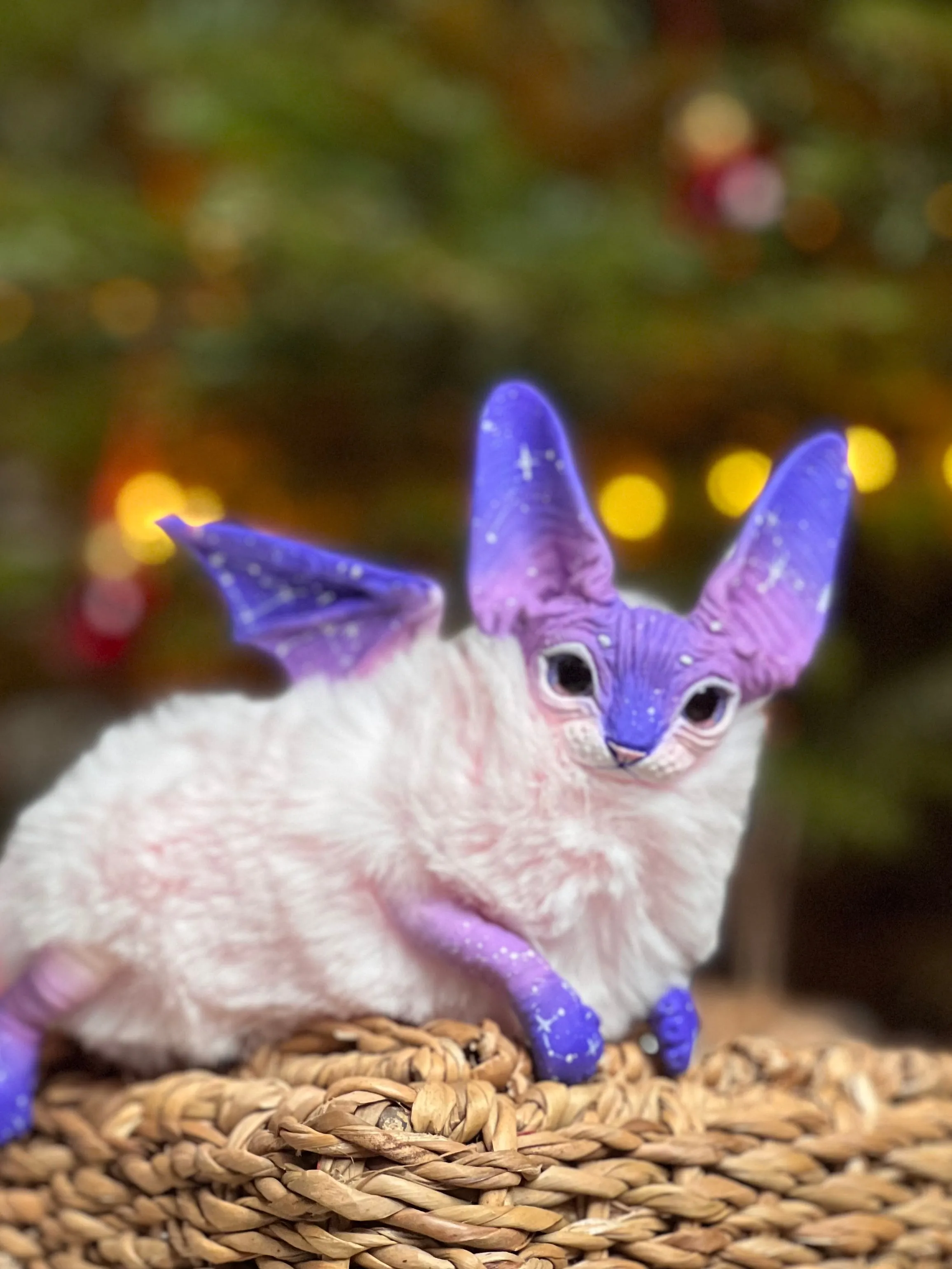 Baby batcat– Stellar-pink