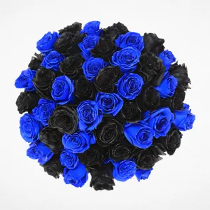 Black & Blue Roses