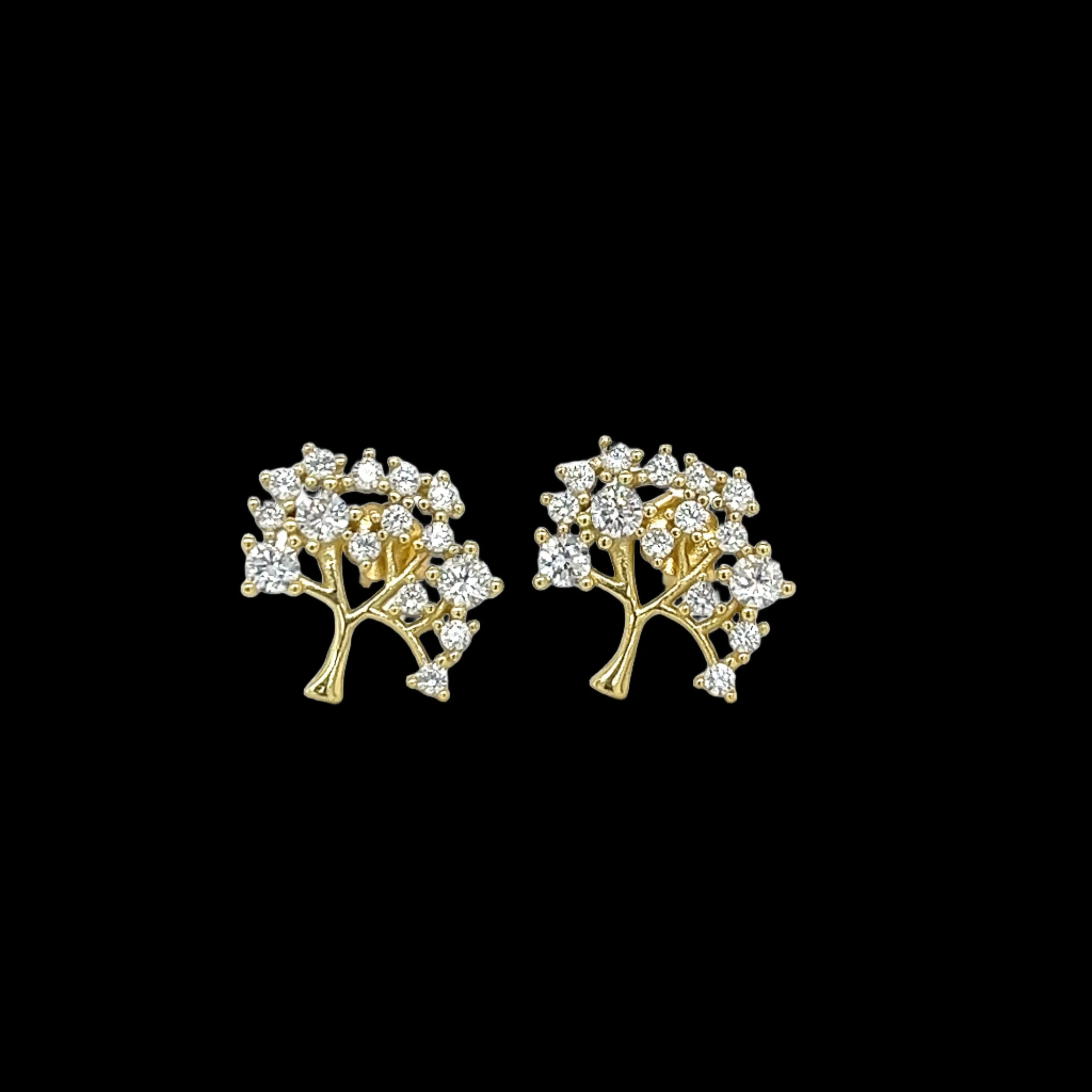 C2589