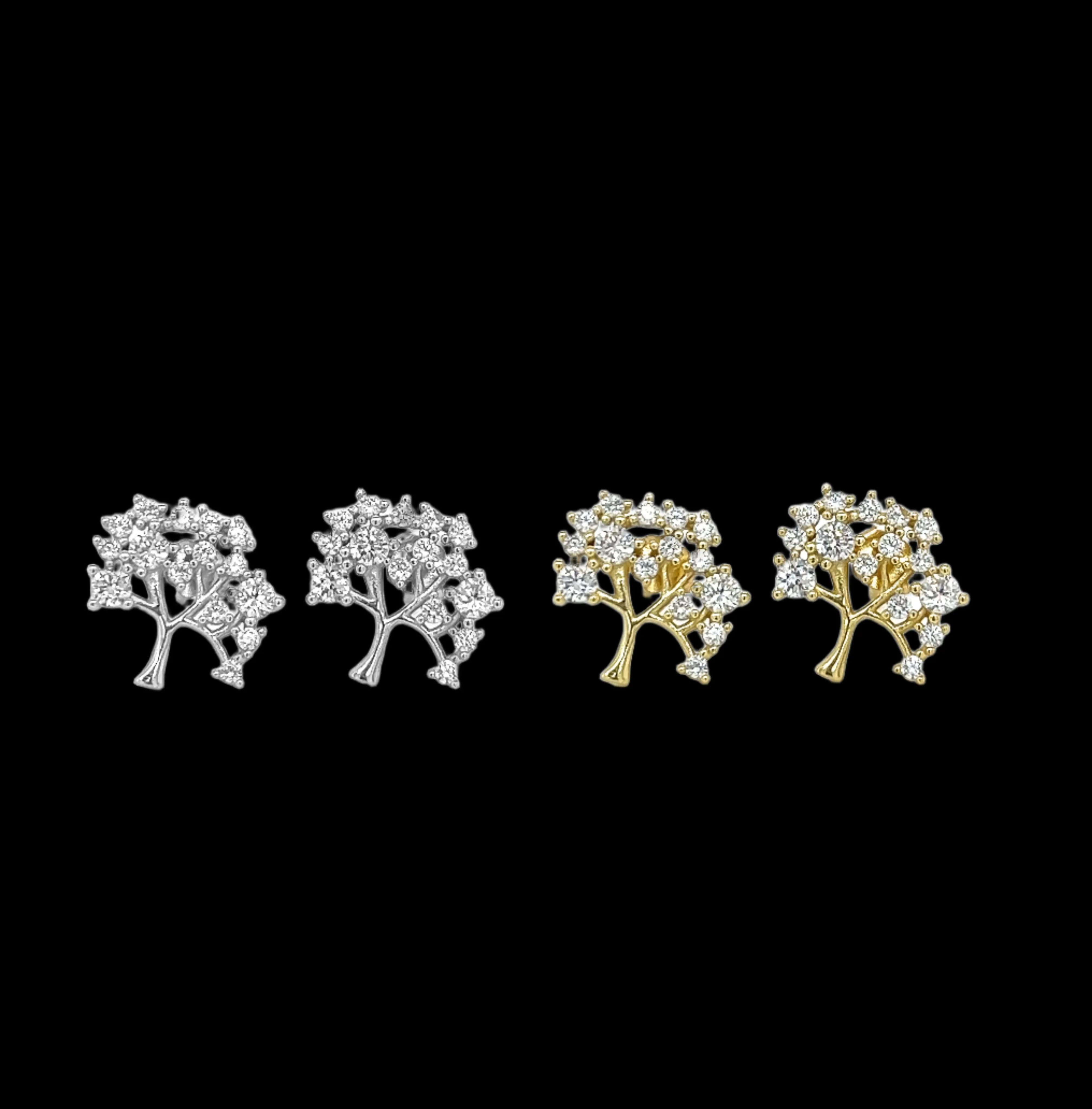 C2589