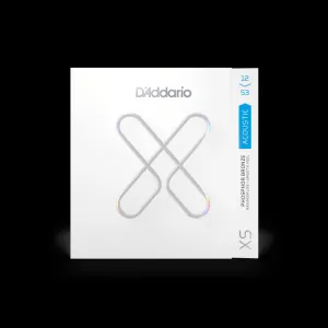 D'Addario XSAPB1253 Accoustic Phosphor Bronze, Light, 12-53