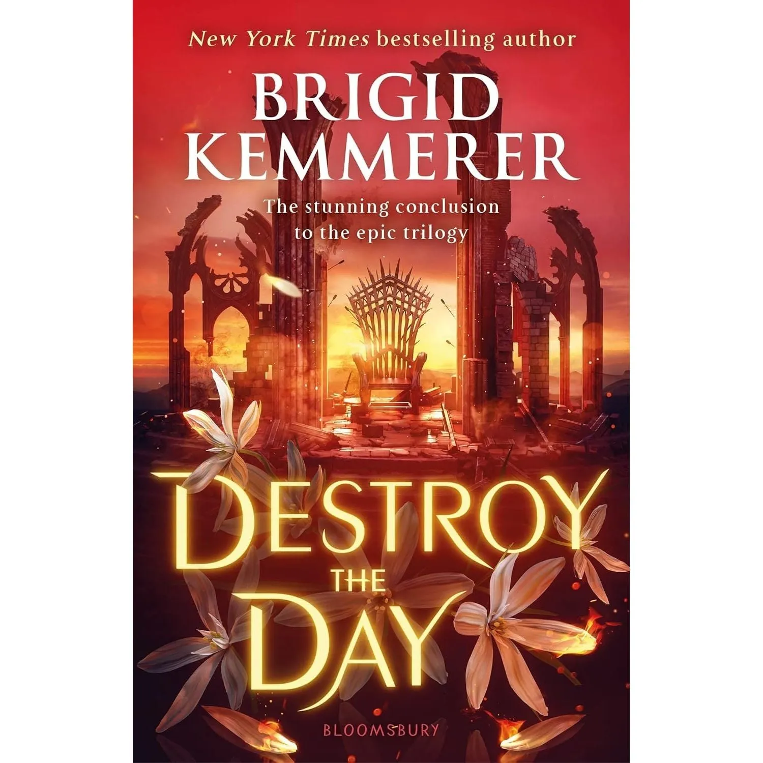Defy the Night Series Collection 3 Books Set by Brigid Kemmerer Destroy the Day