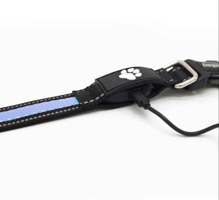 Energizer LED Dog Collar USB - Blue Blaze