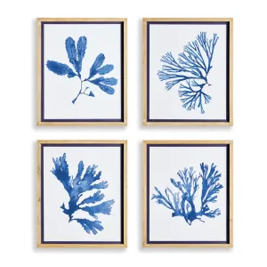 Indigo Seaweed Prints, Set Of 4