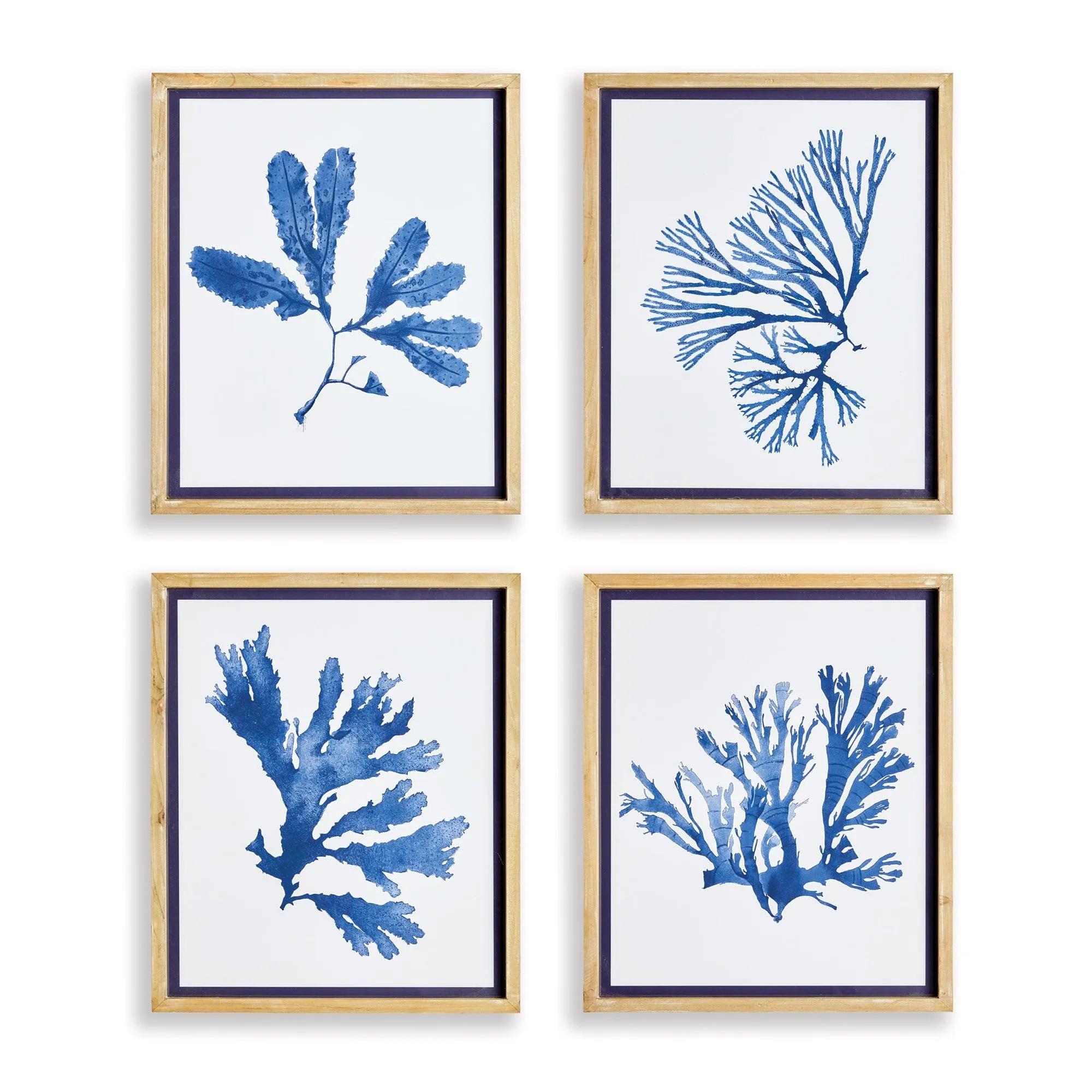 Indigo Seaweed Prints, Set Of 4