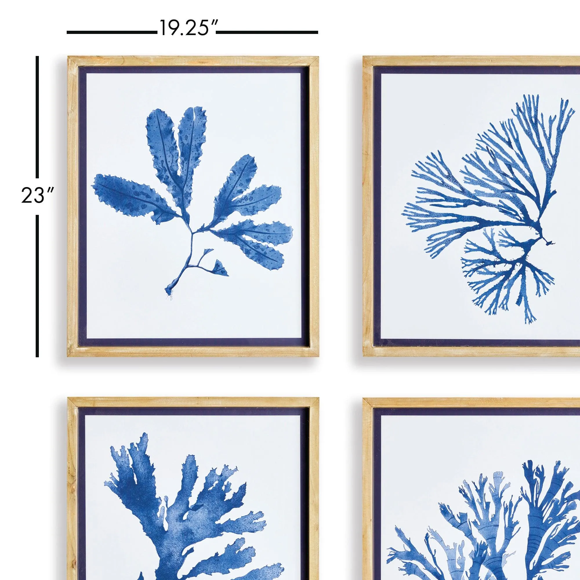 Indigo Seaweed Prints, Set Of 4
