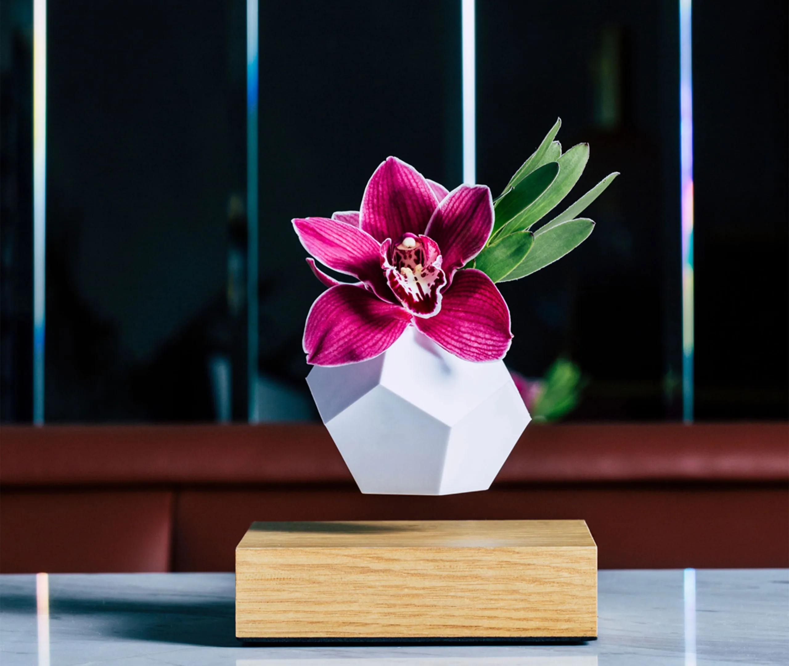 Lyfe Planter - Oak