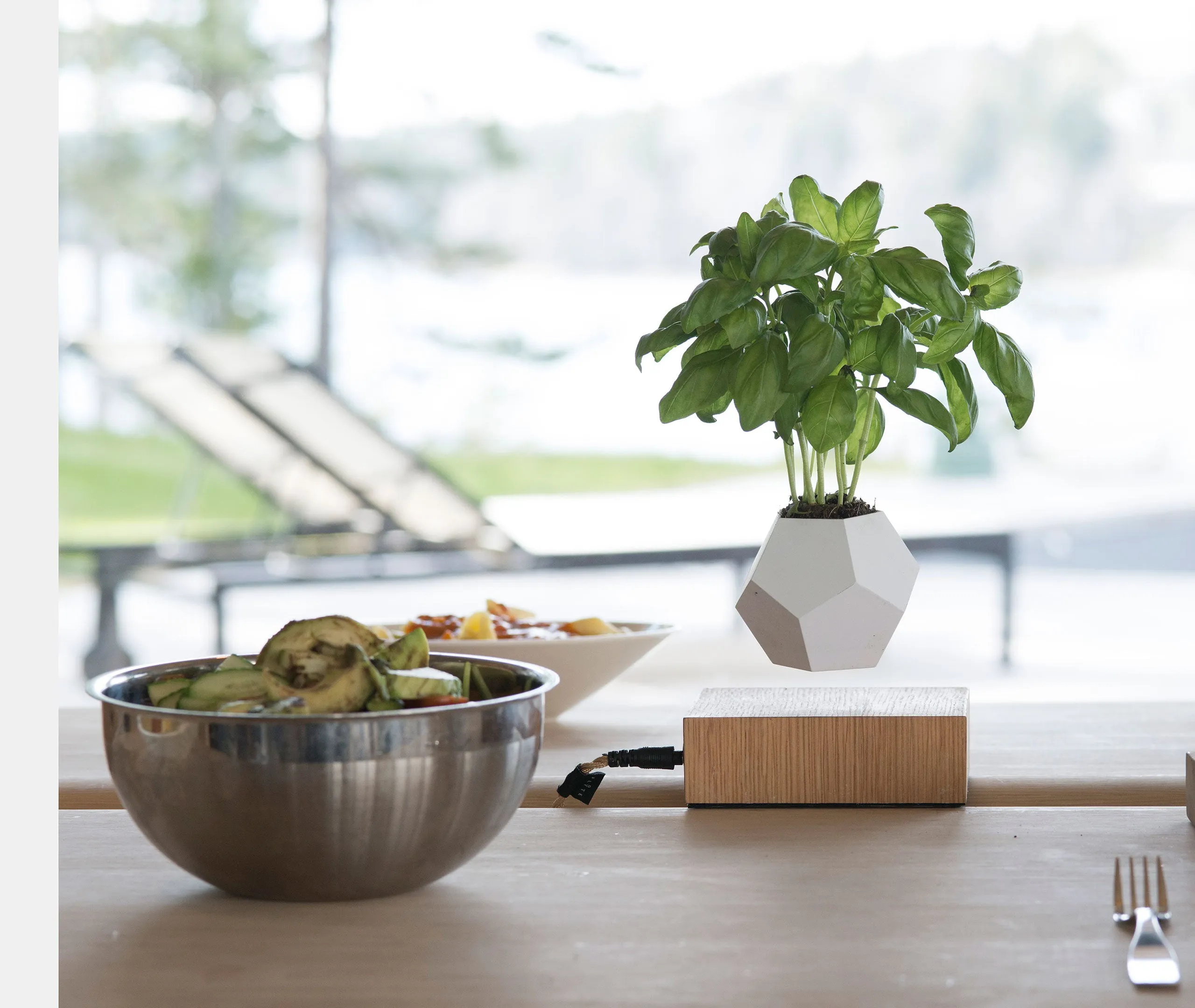Lyfe Planter - Oak
