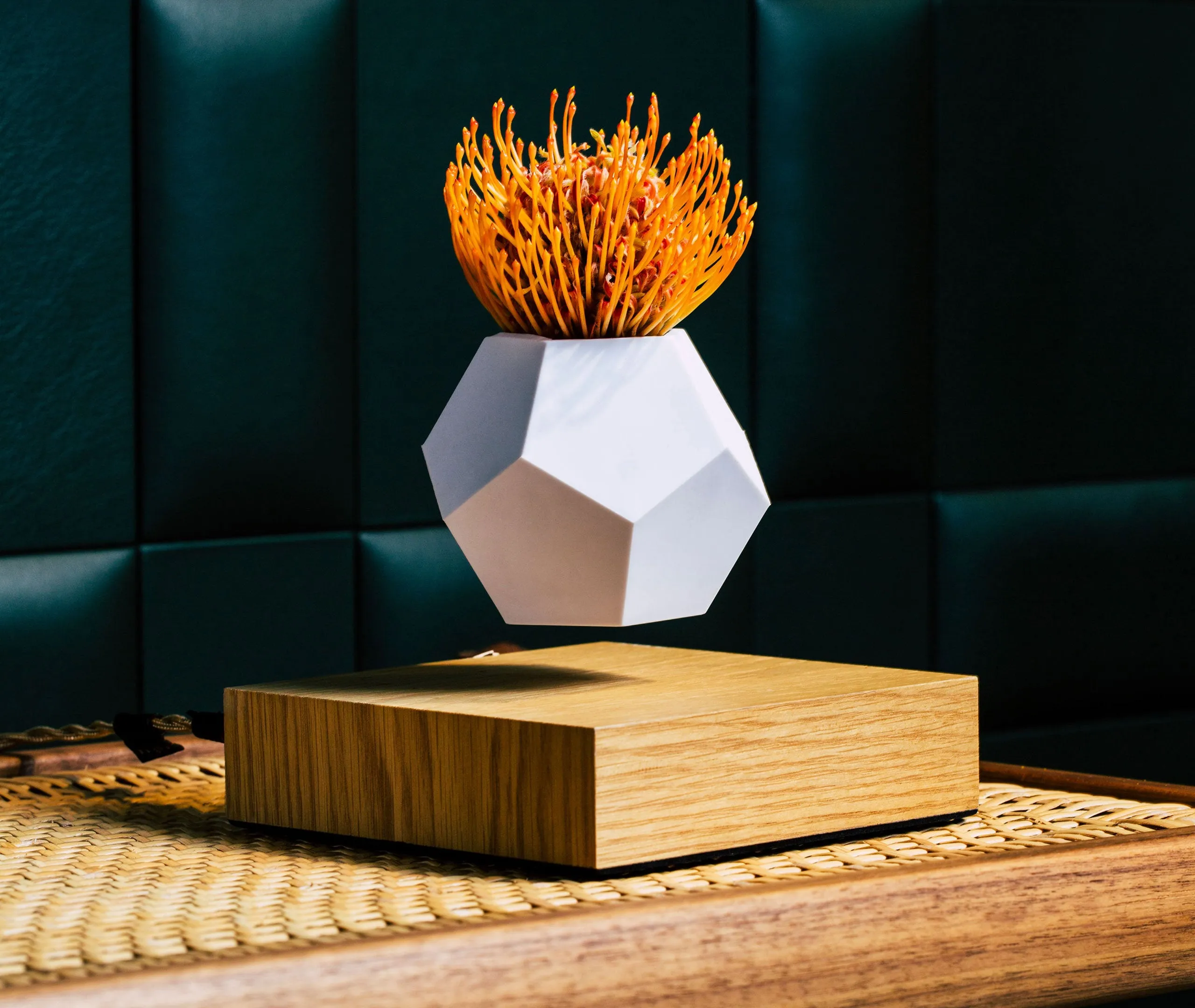 Lyfe Planter - Oak