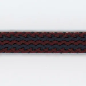 Polyester Stripe Tape #07 Denim & Garnet