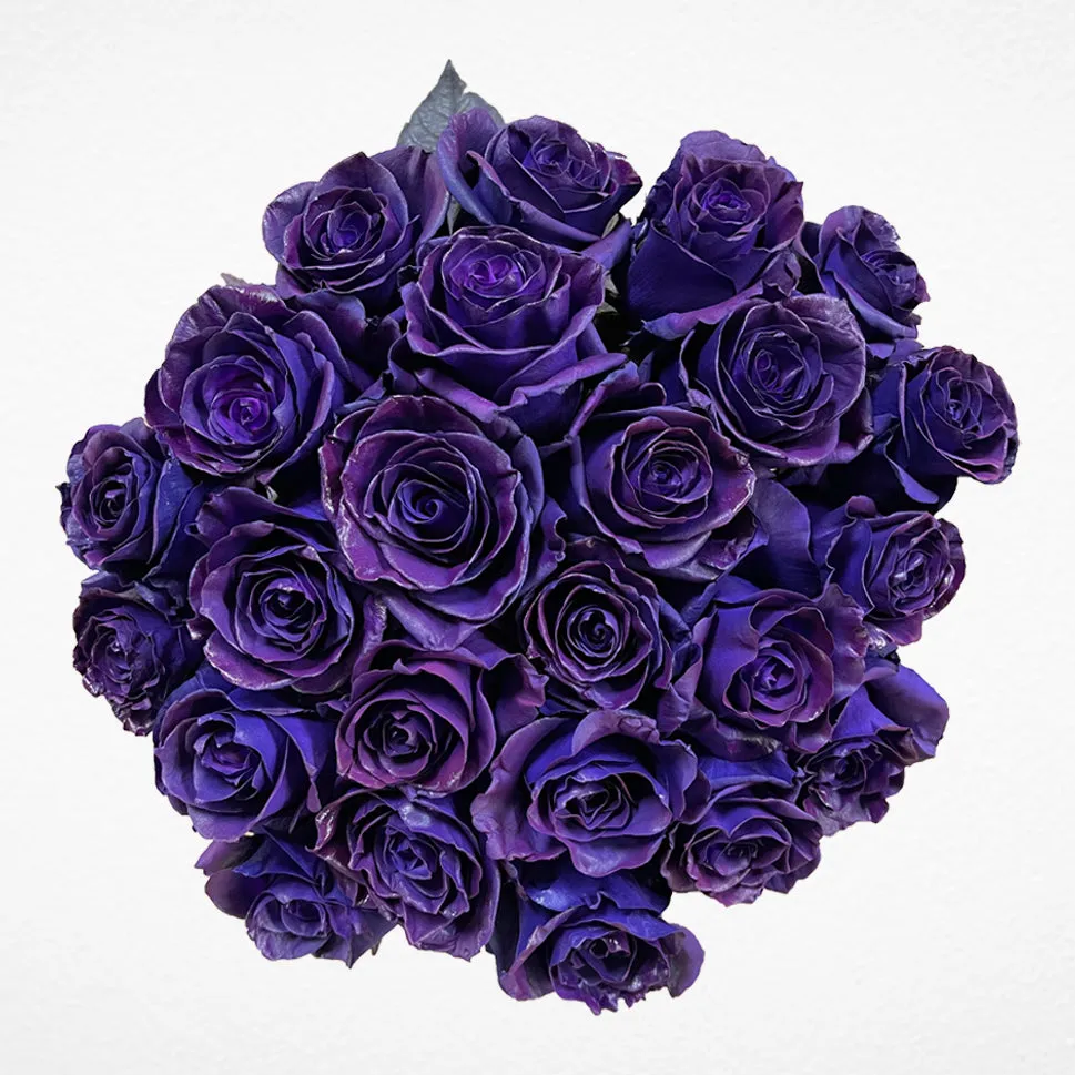 Purple Stravaganzza Roses