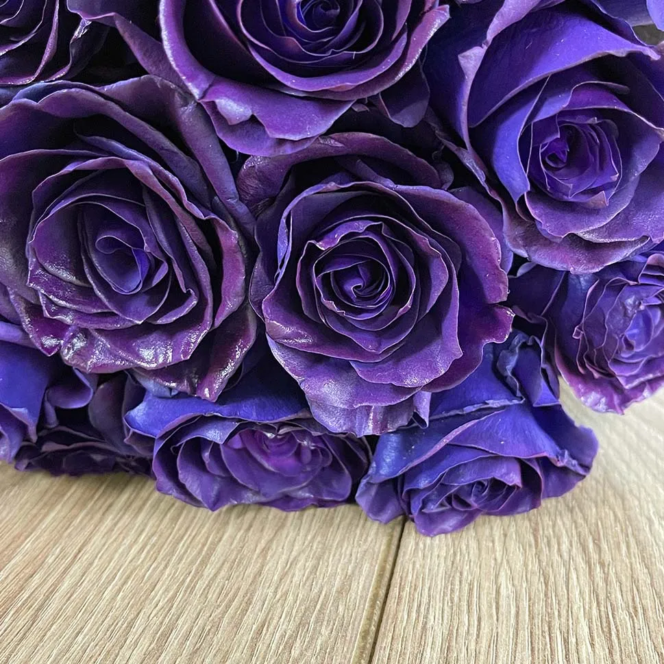 Purple Stravaganzza Roses
