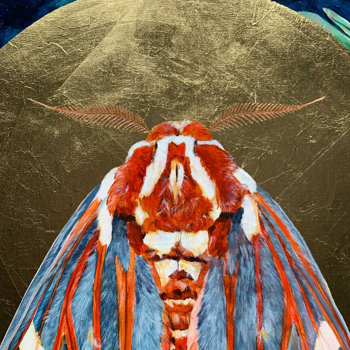 "Evanescent" Royal Walnut Moth Painting 20x24