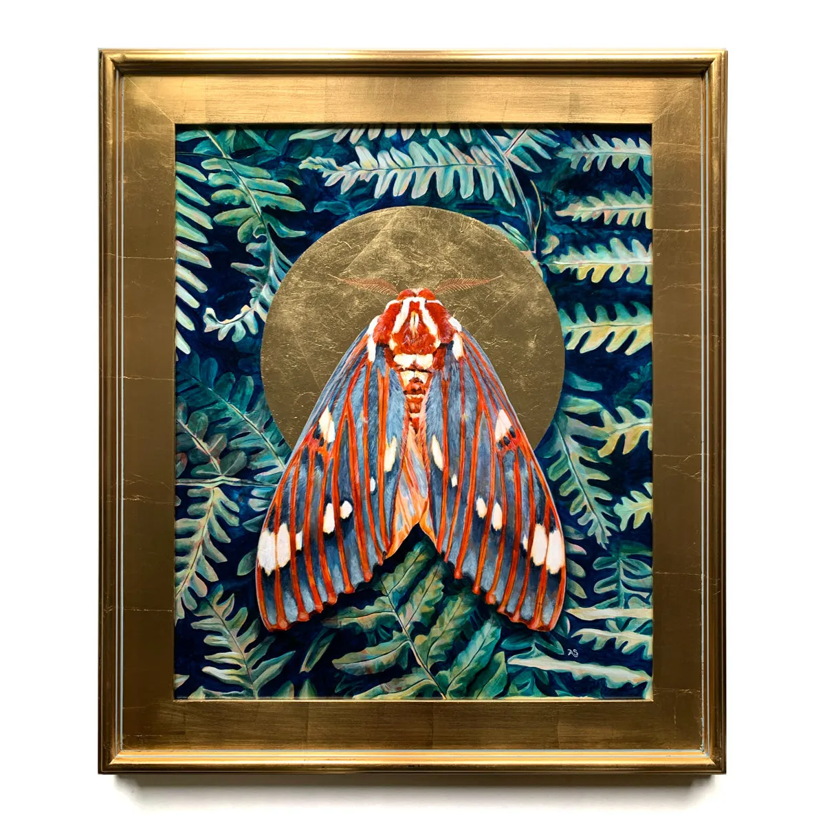 "Evanescent" Royal Walnut Moth Painting 20x24