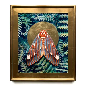 "Evanescent" Royal Walnut Moth Painting 20x24