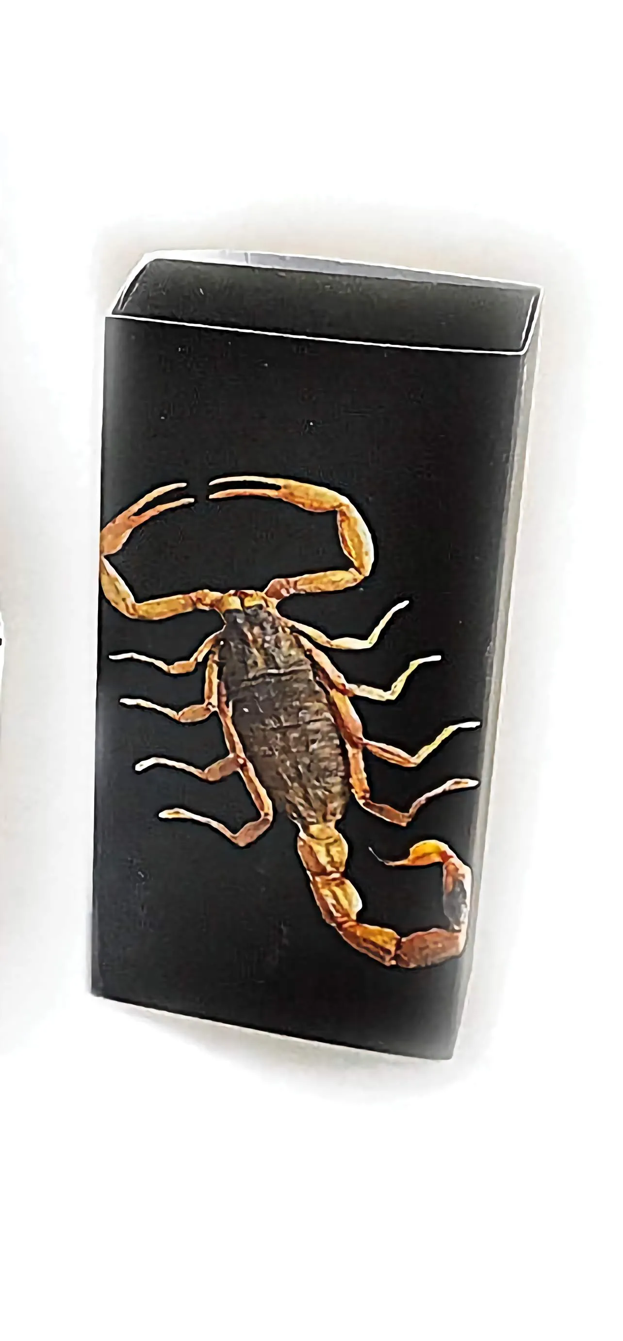 Real Black Emperor Scorpion Necklace Heart Shaped Glows In The Dark Real Nature Gift