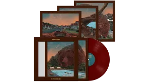 Villagers : Fever Dreams (Ltd Dark Red ROI Edition)