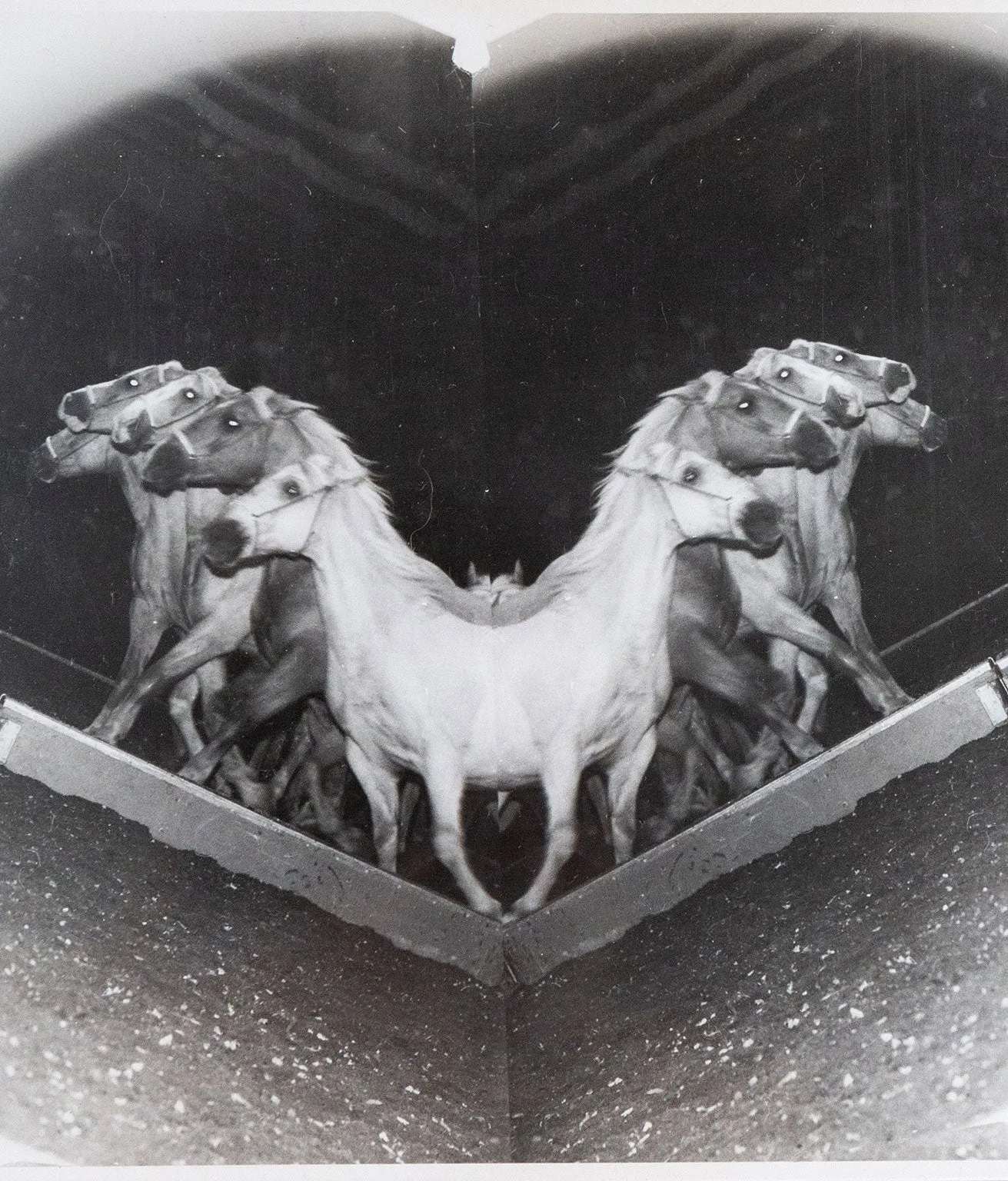 WEEGEE "CIRCUS HORSES" PHOTO, c. 1948
