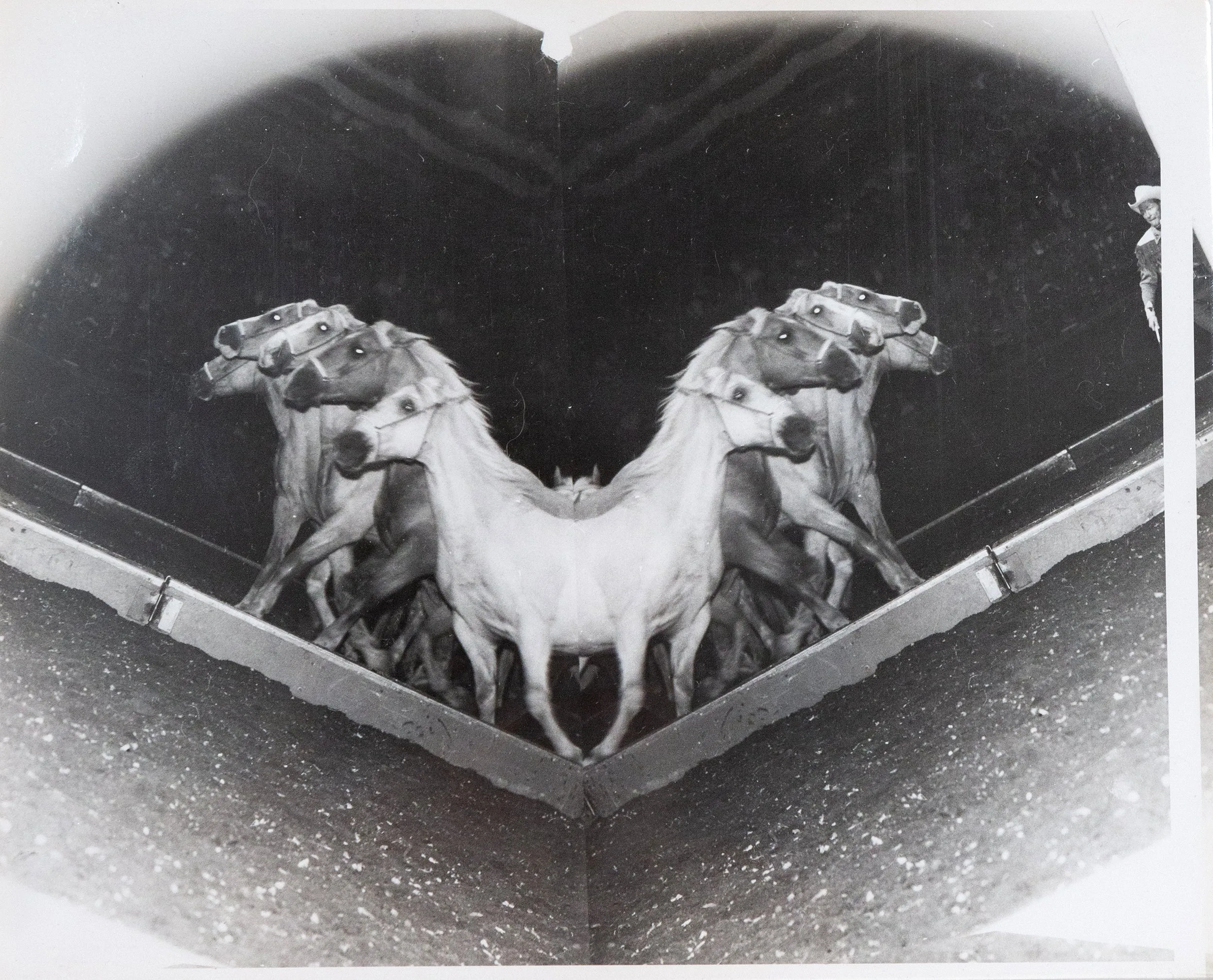 WEEGEE "CIRCUS HORSES" PHOTO, c. 1948