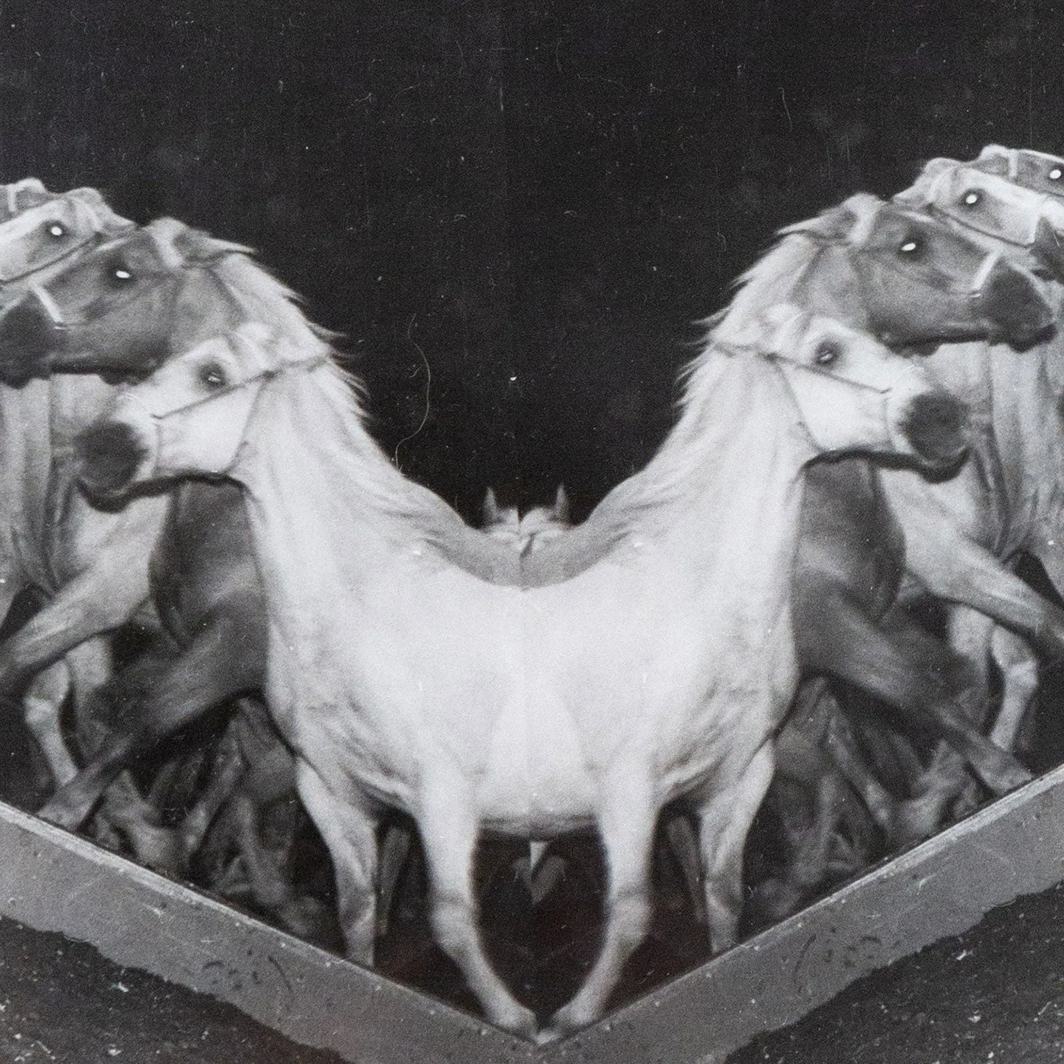 WEEGEE "CIRCUS HORSES" PHOTO, c. 1948