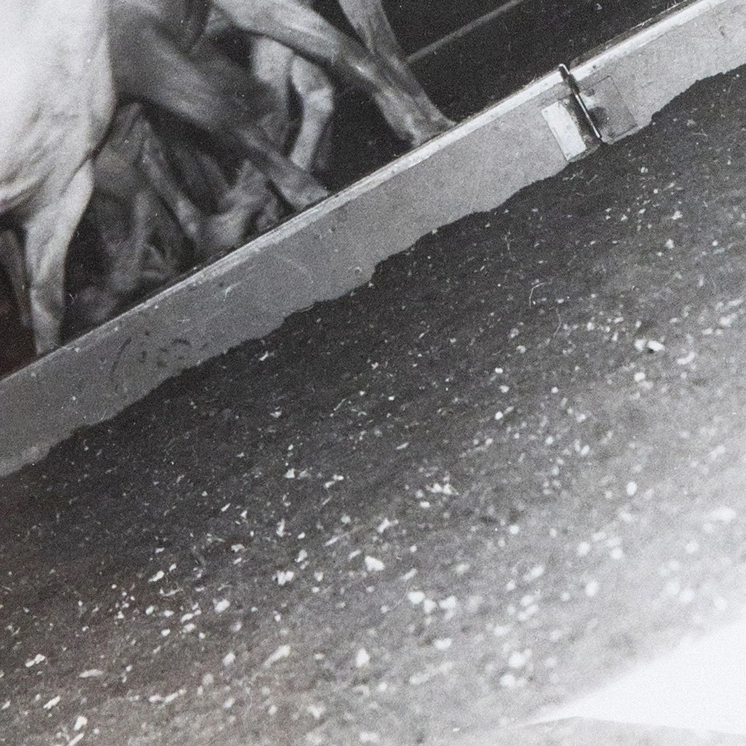 WEEGEE "CIRCUS HORSES" PHOTO, c. 1948